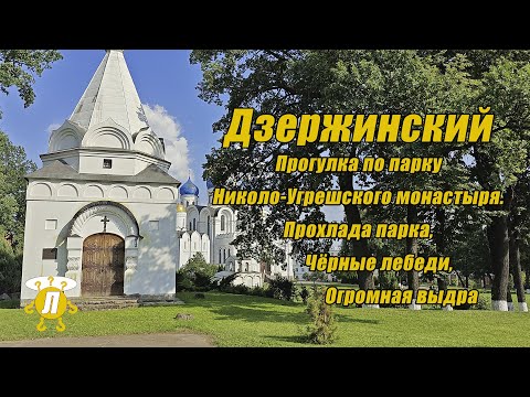 Видео: Дзержинский. Прогулка по парку Николо-Угрешского монастыря. Прохлада парка, чёрные лебеди, прогулка.