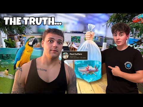 Видео: Что НА САМОМ ДЕЛЕ происходит на ферме Поля Каффаро…