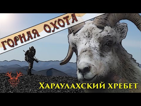 Видео: Горная охота на Хараулахском хребте. Снежный баран.