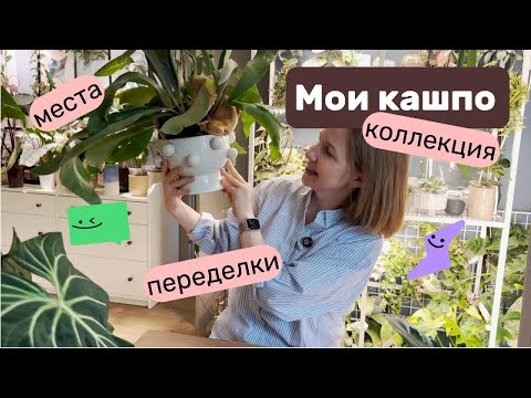 Видео: Мои кашпо: коллекция, где беру и как переделываю