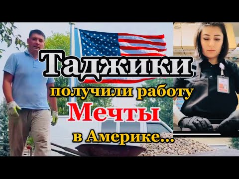 Видео: Американская мечта таджиков заработать миллион 🤑