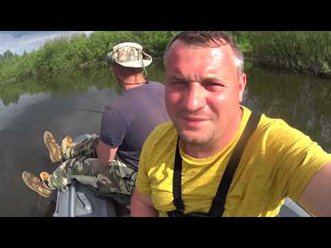 Видео: Рыбалка в Беларуси! Река Нёман в Кареличском районе! Рыбалка в начале июня 2021г. на реке Нёман!