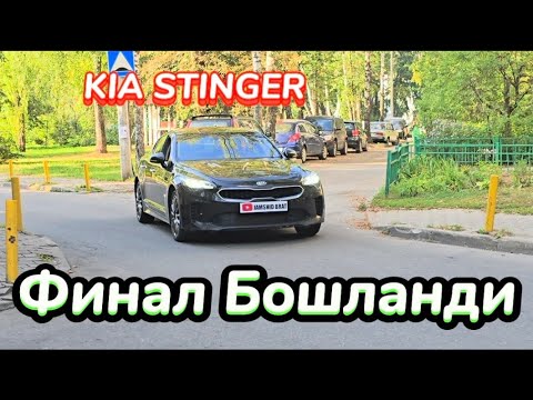 Видео: ФИНАЛ KIA STINGER JAMSHID BRAT  в прямом эфире!