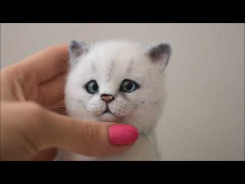 Видео: Кот серебристый британец сухое валяние