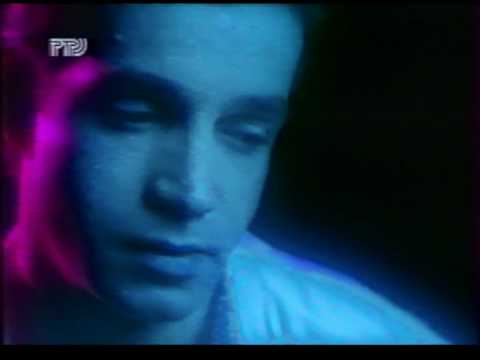 Видео: Лариса Долина Ревнуй