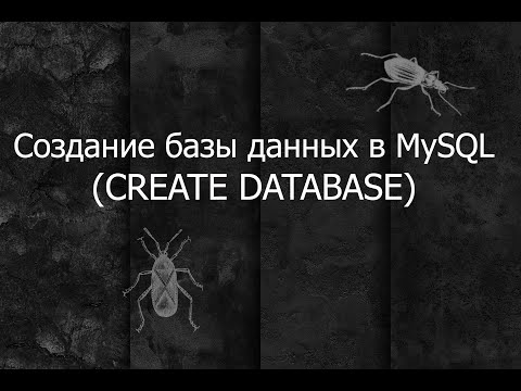Видео: QA 2. Создание базы данных (CREATE DATABASE) в MySQL Workbench
