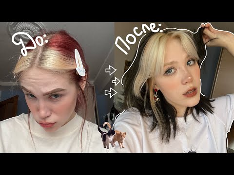 Видео: Экстремальная покраска в черный🐈‍⬛