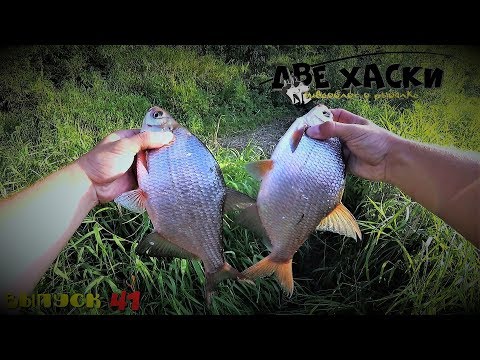 Видео: ДОНКА-УЛЬТРАЛАЙТ! ЛОВЛЯ БЕЛОЙ РЫБЫ.