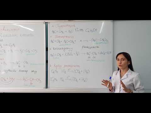 Видео: АЛКЕНДЕР 2-БӨЛҮМ / МИРЛАН КЫЗЫ ГҮЛСАНА