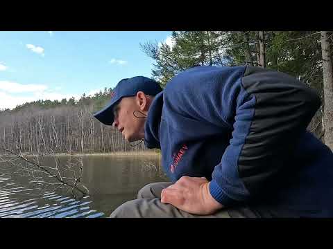 Видео: Выезд на Антавиляйское озера