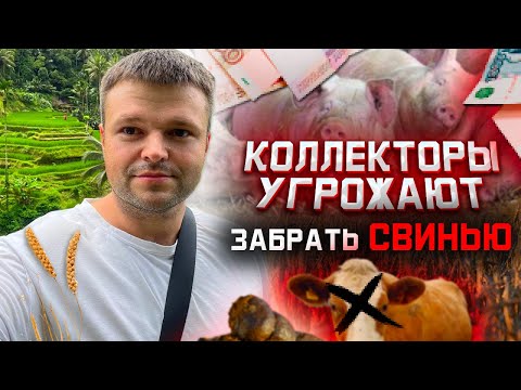 Видео: Очень Смешной диалог с КОЛЛЕКТОРОМ. Как не платить кредит.  Банкротство физических лиц