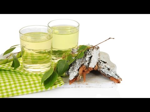 Видео: Водочка из берёзового сока. Дистилляция браги. Дробная дистилляция от канала Сибирский обычай.