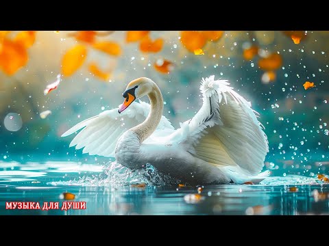 Видео: ТАКОЙ МУЗЫКИ ТЫ ЕЩЕ НЕ СЛЫШАЛ! СУПЕР СБОРНИК!ВЕЛИКОЛЕПНАЯ ИНСТРУМЕНТАЛЬНАЯ МУЗЫКА. КРАСИВЫЕ#музыка