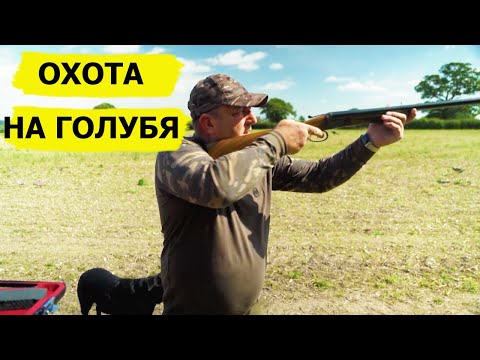 Видео: Охота на голубей. Неповторимый вкус охоты/FARMING THE WILD (Охотник и рыболов)