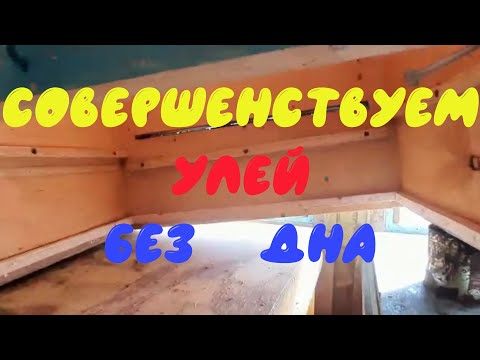 Видео: Улей без дна становится проще