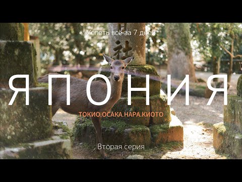 Видео: ЯПОНИЯ в октябре | Токио, Осака, Фудзи, Нара, Киото | Успеть за 7 дней