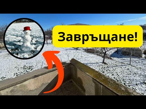 Видео: Фреза, лук, череша и мечта в процес на разработка. Хайде на село!