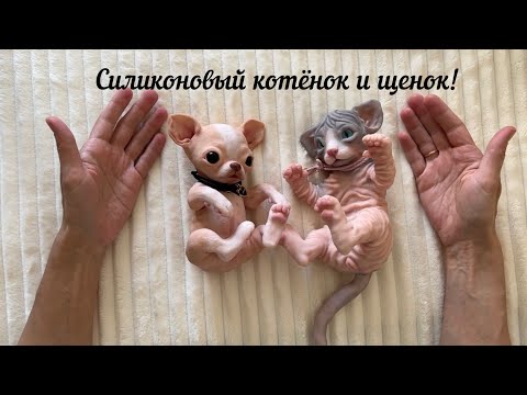 Видео: Силиконовый щенок и котёнок/запаковка #силиконовыйреборн