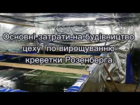 Видео: Основні затрати на створення цеху для вирощування креветки Розенберга.