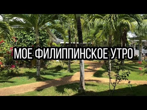 Видео: Мое утро на Филиппинах. Утренние ритуалы. Готовлю завтрак.