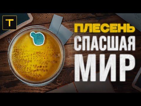 Видео: ПЕНИЦИЛЛИН: как 3 случайности спасли человечество