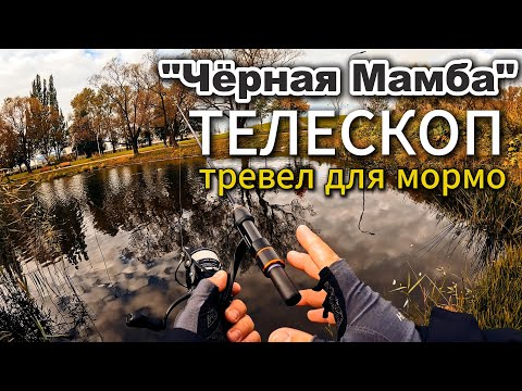 Видео: Ловлю РОТАНА в Осеннем парке. Мормотелескоп "Черная мамба" #микроджиг #стритфишинг #fishing