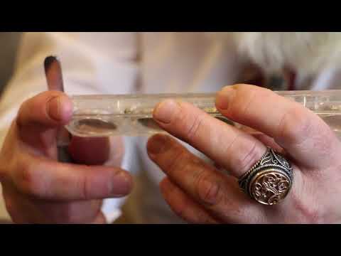 Видео: Александр Бродниковский-видеообзор и экземпляры механизмов Петродворцового Часового Завода