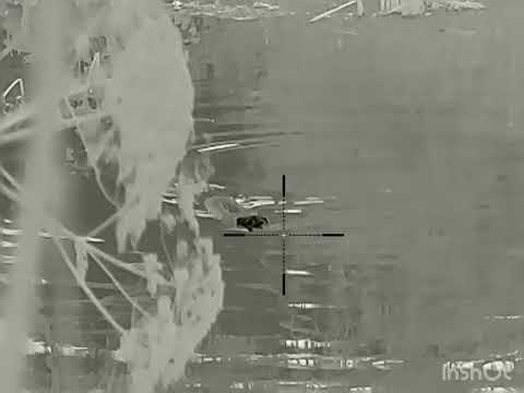 Видео: Охота на бобра с тепловизором Iray Geni gl35r. 223rem. 15м