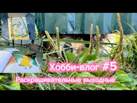 Видео: Хобби-влог #5: Раскрашивательные выходные 