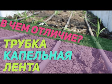 Видео: Капельная лента и трубка / Для чего нужны и в чем отличия?