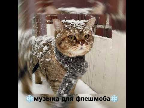 Видео: музыка для флешмоба