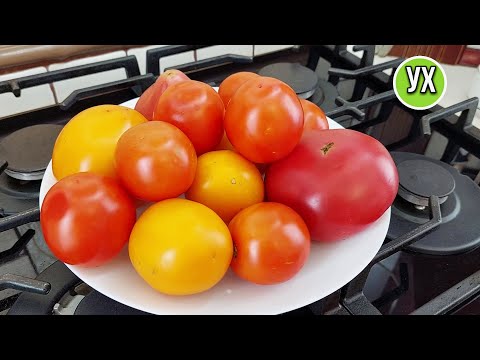 Видео: 🍅Все известное, известно не всем! Сегодня 3 летних закуски из помидоров👍