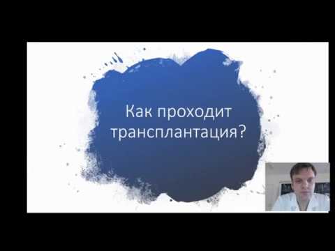 Видео: Как проходит трансплантация?