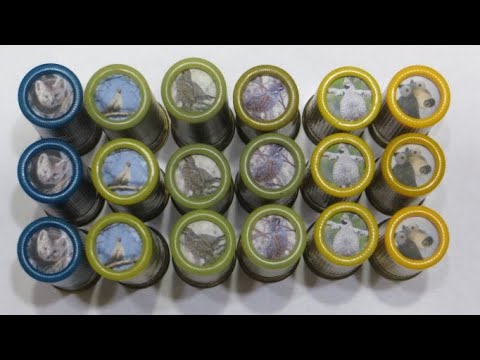 Видео: Отстрел патронов 20 калибра с навесками дроби 16,18 и 22 грамма.