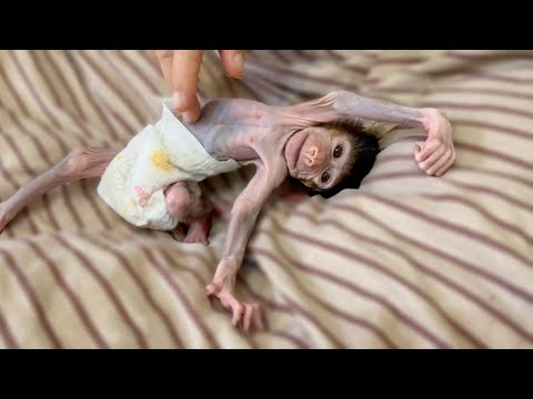 Видео: Степка просыпается ОЧЕНЬ ВЕСЕЛО! Пытаюсь заставить его идти, но Степашка отлынивает)))