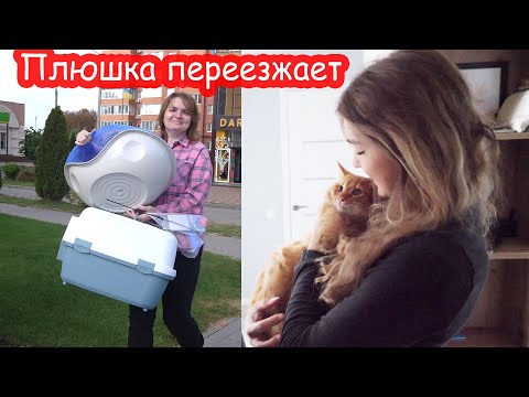 Видео: VLOG Плюшка переезжает к Насте