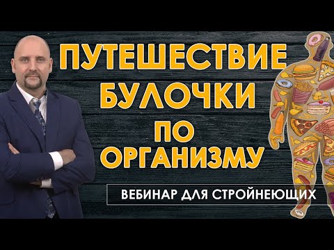 Видео: Путешествие 🍩 булочки по организму