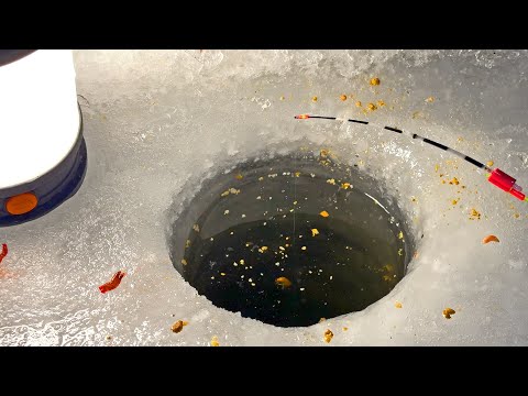 Видео: Первая зимняя рыбалка 2025 !! КИВОК. ФОНАРЬ и КАРАСИ! 🌒 Магия ловли по-тёмному!