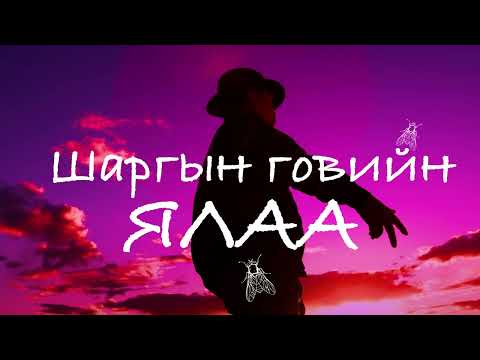 Видео: Shargiin goviin yalaa _ Шаргын говийн ялаа _ Capital Band Quiza Hits