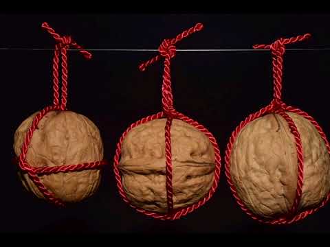 Видео: Жаңғақ-жанға шипа. Денсаулық бар жерде, жаңғақ бар😉. Грецкий орех