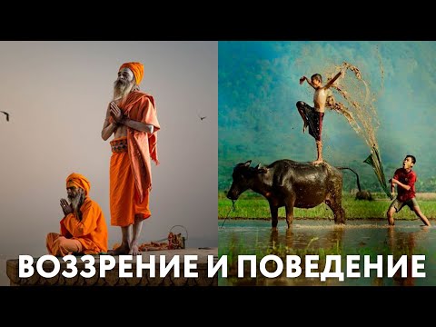 Видео: Доклад "Воззрение и поведение". Санньяси Аравиндини