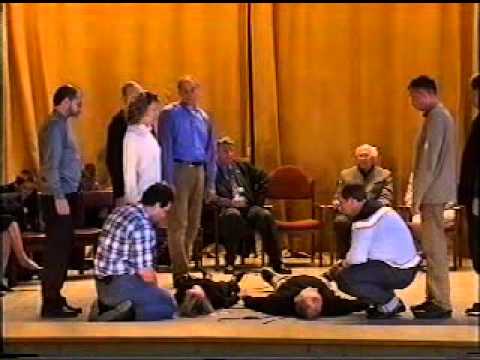 Видео: 29 - Cын - шизофреник (продолжение)