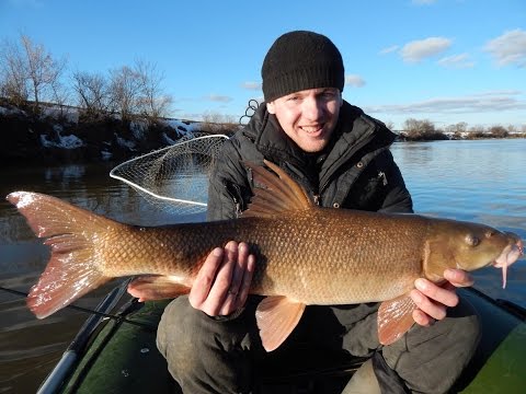 Видео: Ловля Усача (Мирона) на джиг в феврале с лодки.