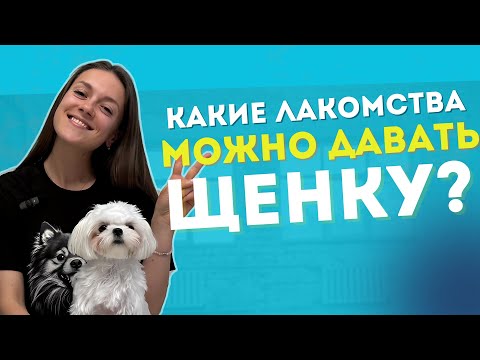 Видео: КАКИЕ ЛАКОМСТВА МОЖНО ДАВАТЬ ЩЕНКУ? СПИСОК ОТ КИНОЛОГА