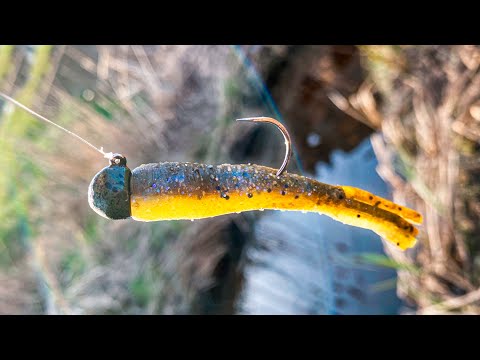 Видео: Как ловить большого малоротого окуня на оснастку Ned Rigs