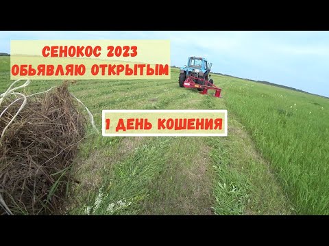 Видео: Начинаю косить траву. Сенокос 2023 открыт. 1 день кошения.
