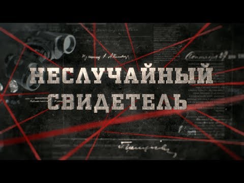 Видео: Неслучайный свидетель  | Вещдок