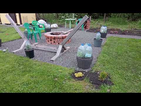 Видео: 18 мая 2025. Начинаем потихоньку. 🥰 Сад без прикрас, в процессе.)