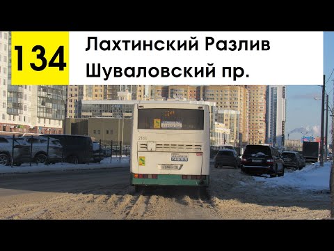 Видео: Автобус 134 "Лахтинский Разлив - Шуваловский пр." (старая трасса)
