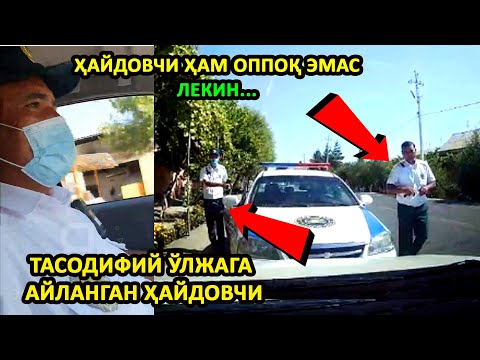 Видео: ТАСОДИФИЙ ЎЛЖАГА АЙЛАНГАН ҲАЙДОВЧИ ЁХУД ОВЧИ ГАИЛАР...